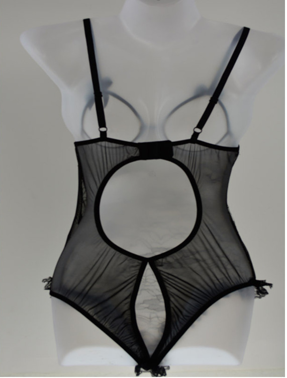 Lingerie Bodysuit Image 3