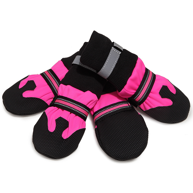 Pet Shoes Front View