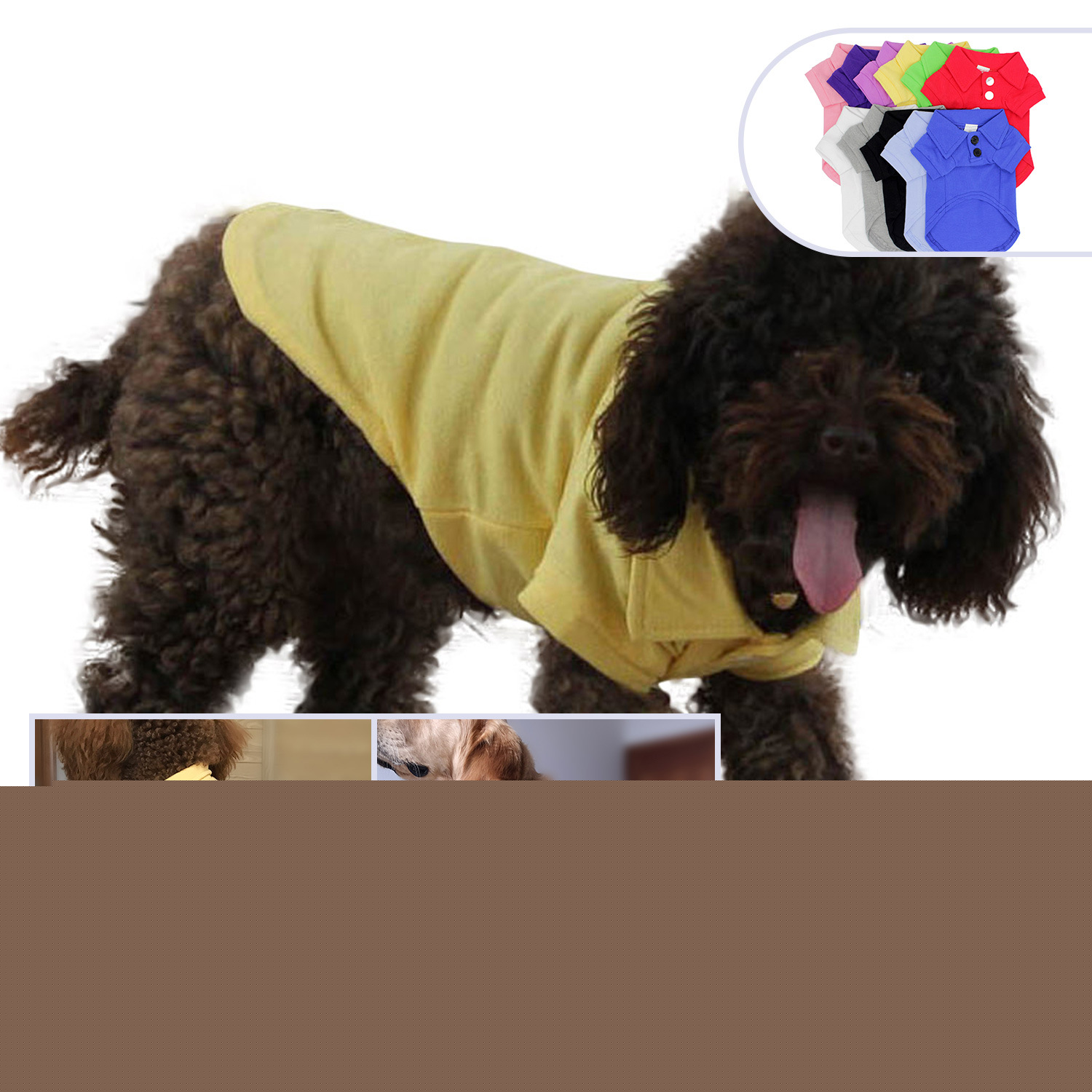Dog in Polo Shirt