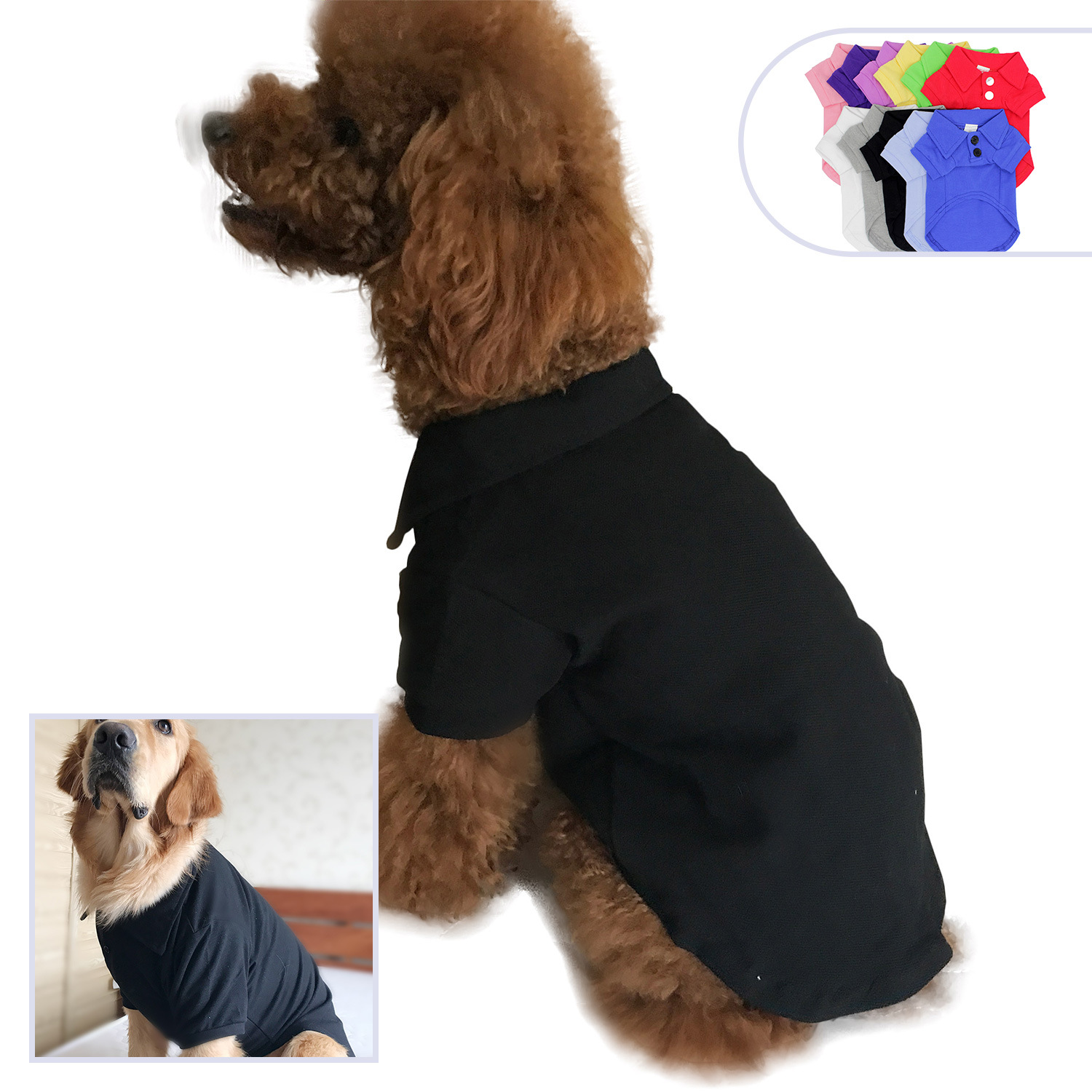 Dog Wearing a Polo Shirt