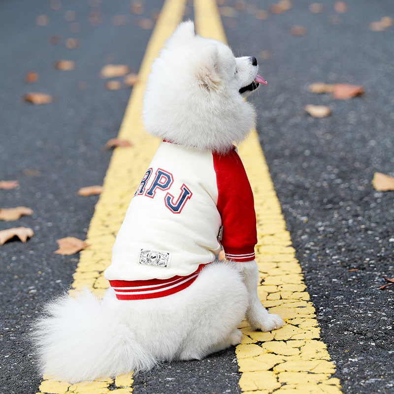 Pet Sweatshirt 5
