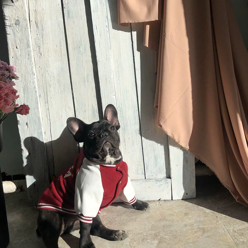 Cozy pet sweatshirt