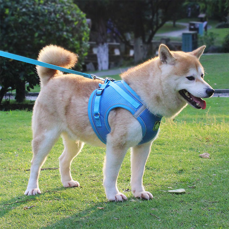 Dog Harness Image 10