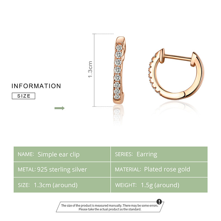 Earrings Lifestyle Image