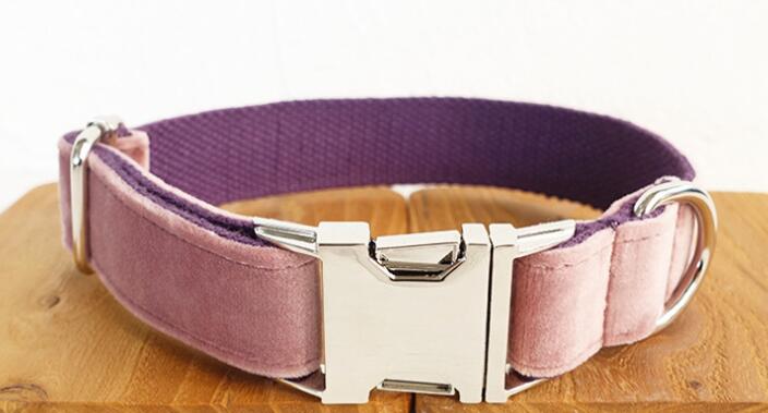 Dog Collar Image 2