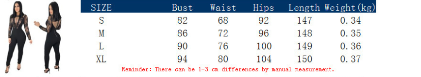 Sexy Lace Embroidered Mesh Jumpsuit