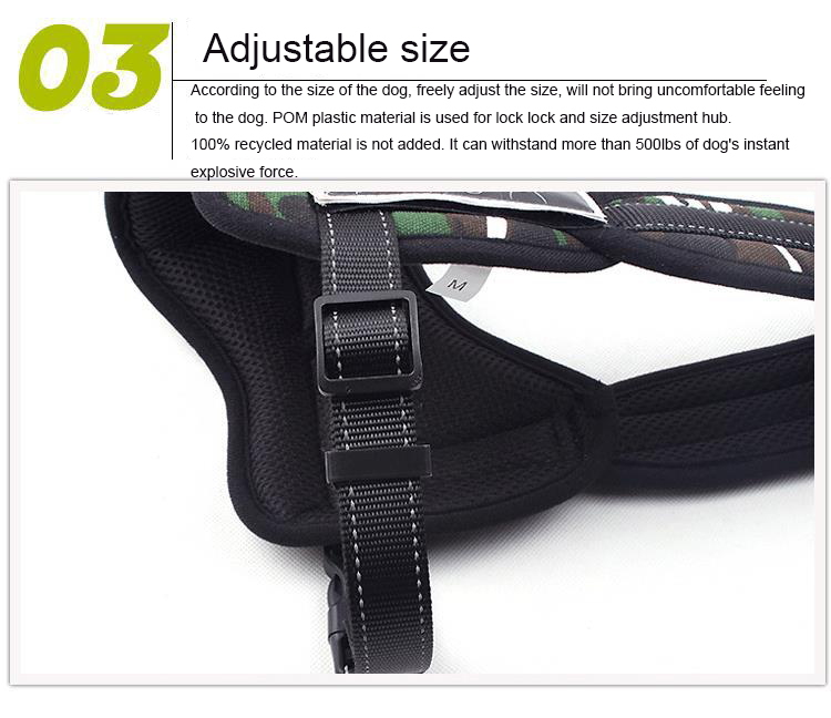 k8 Chest Strap Fit
