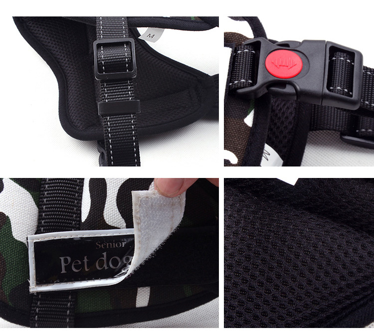 k8 Chest Strap Color Options