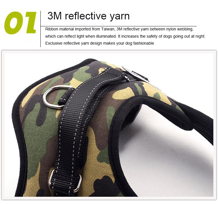 k8 Chest Strap in Various Colors