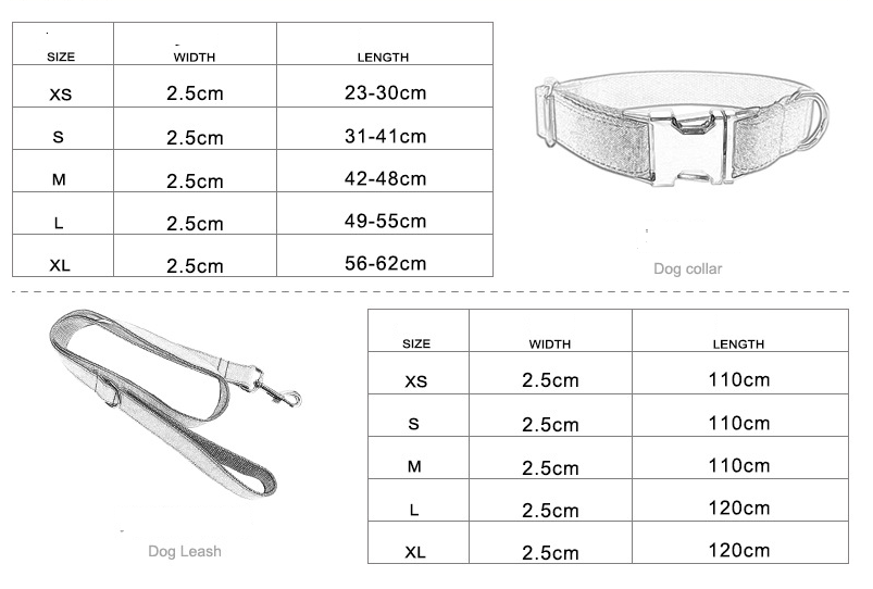 Collar and Leash Set