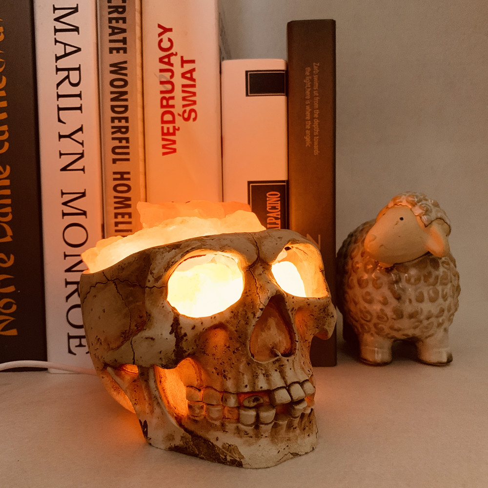 Skull Resin Rock Lamp Image 1