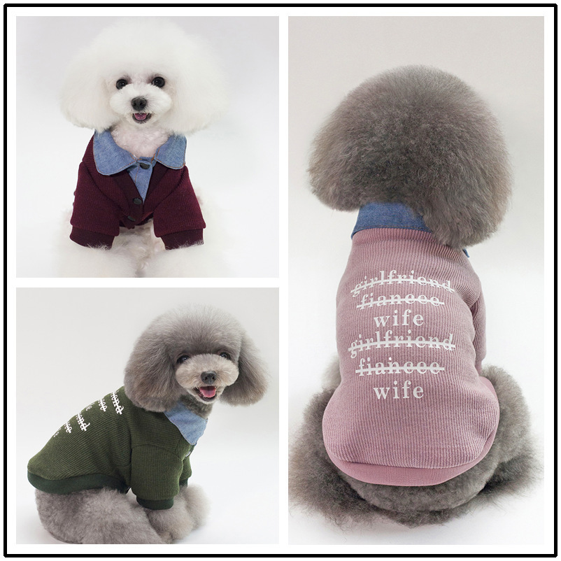 Dog Hoodie Lifestyle