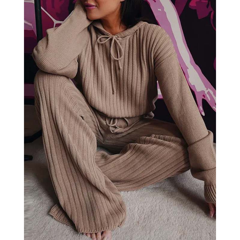 Long Sleeve Loose Hooded Casual Set in Action