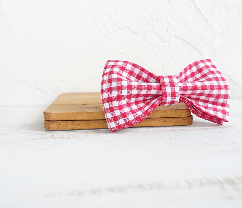 Dog Bow Tie Red Grid