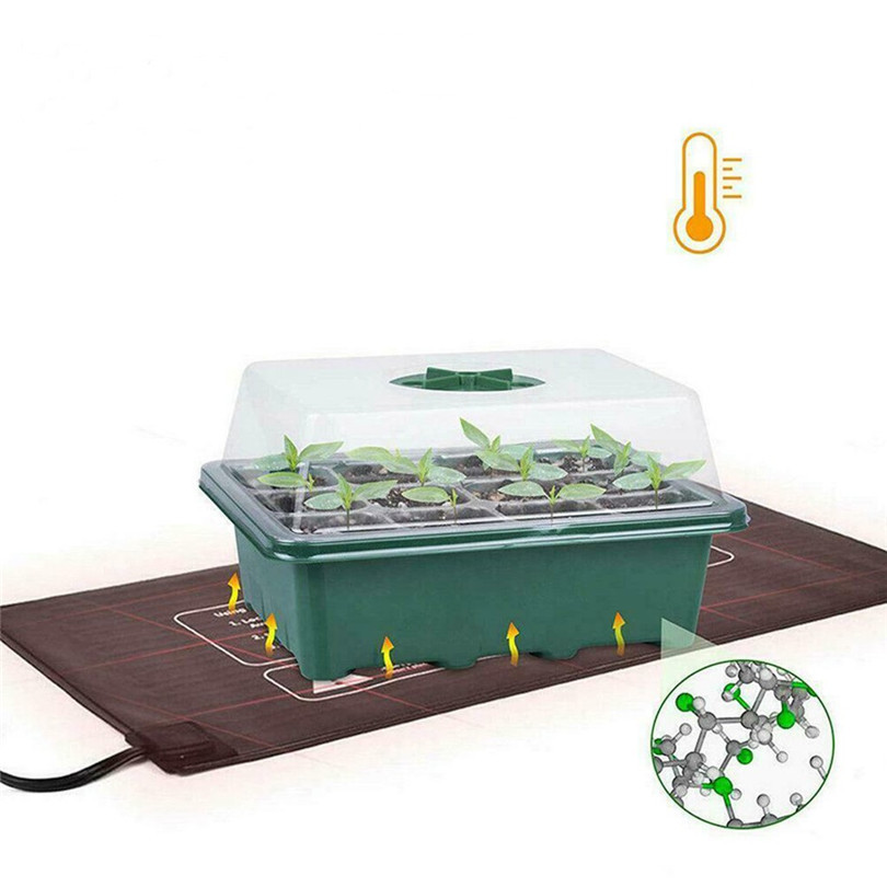 Seedling Tray Image 2