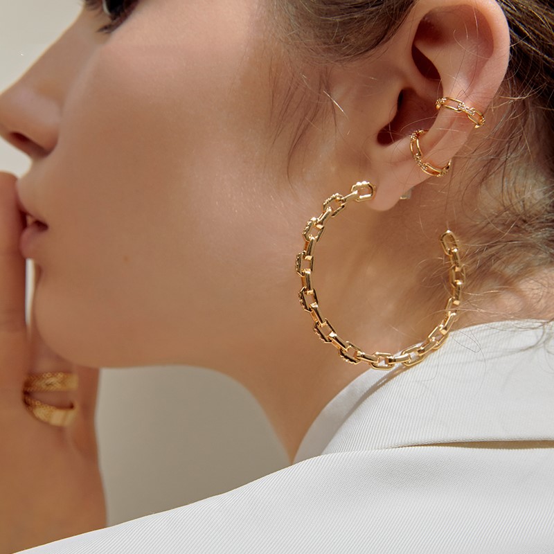 Stylish Earrings Image 3