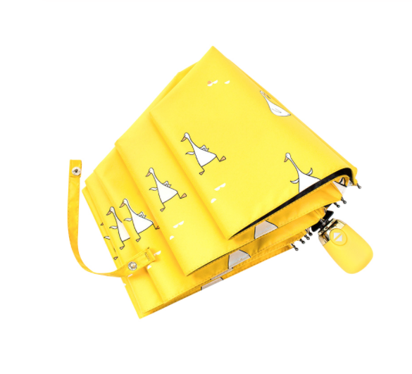 Windproof Structure