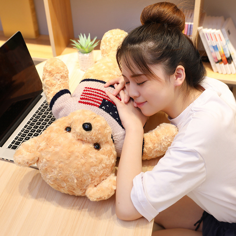 Teddy Bear Close Up