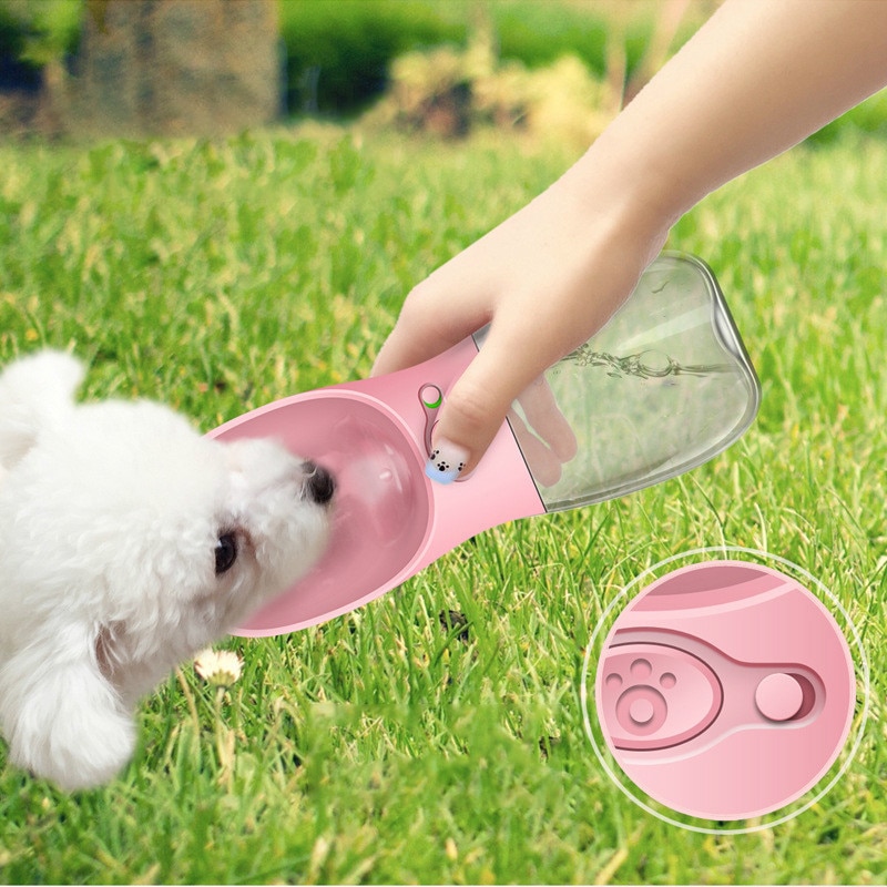 Hydration for Pets