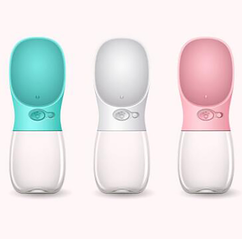 Travel Water Bottle