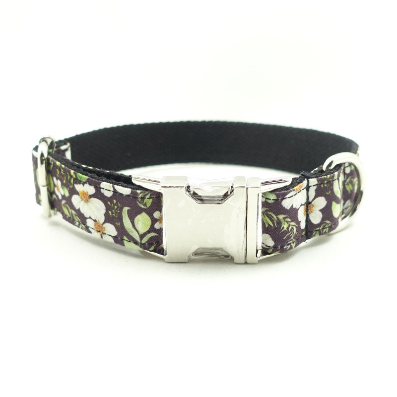 Close-up view of the collar