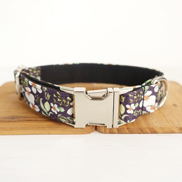 Dog wearing MUTTCO collar