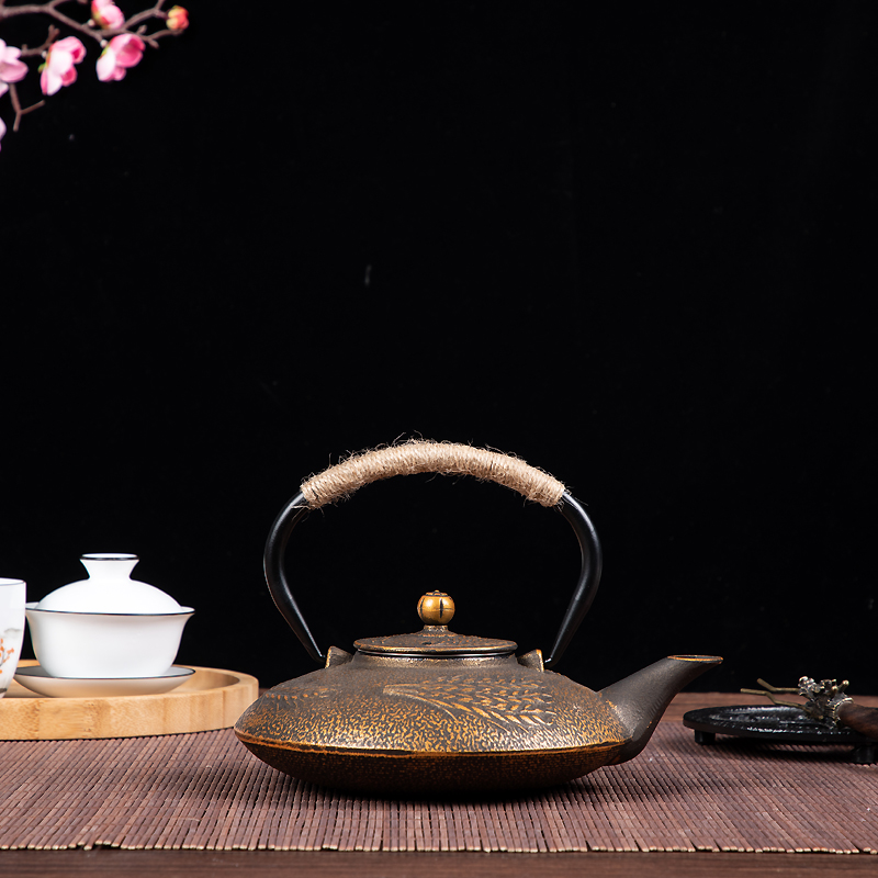 Cast Iron Teapot Image 4
