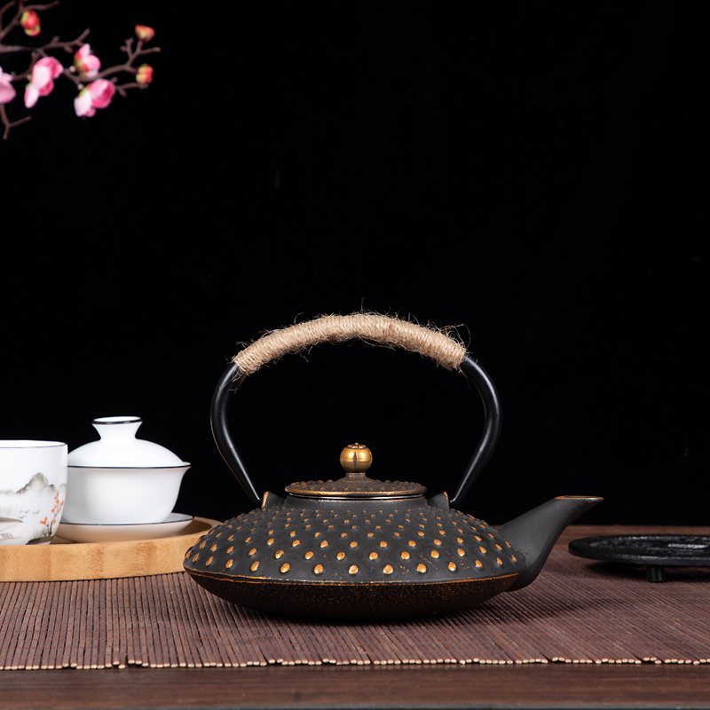 Cast Iron Teapot Image 2