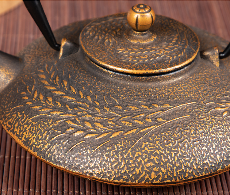 Cast Iron Teapot Image 6