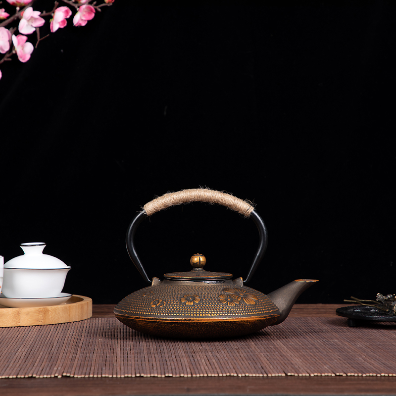 Cast Iron Teapot Image 3