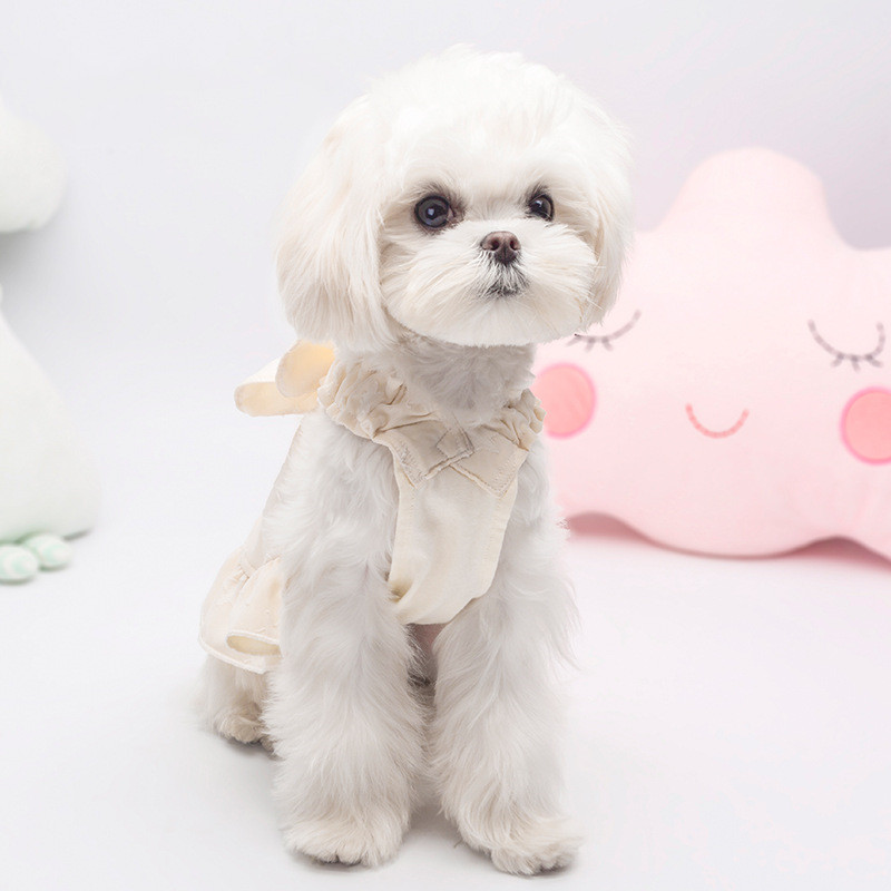 Dog Dress 2