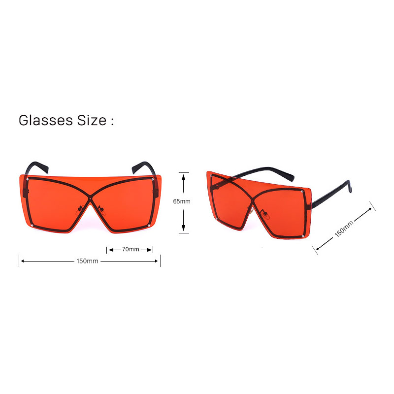 Large Frame Sunglasses 3