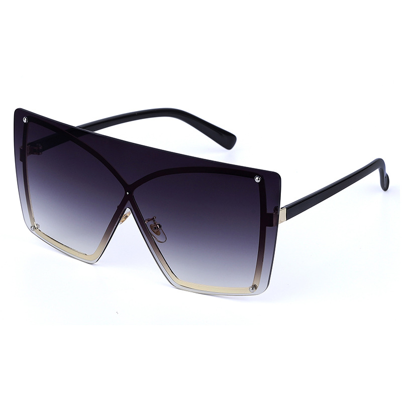 Large Frame Sunglasses 2