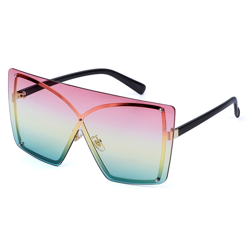 Large Frame Sunglasses 1