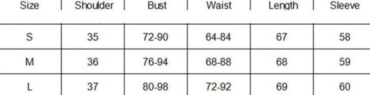 Deep V Lace Bodysuit Image 1