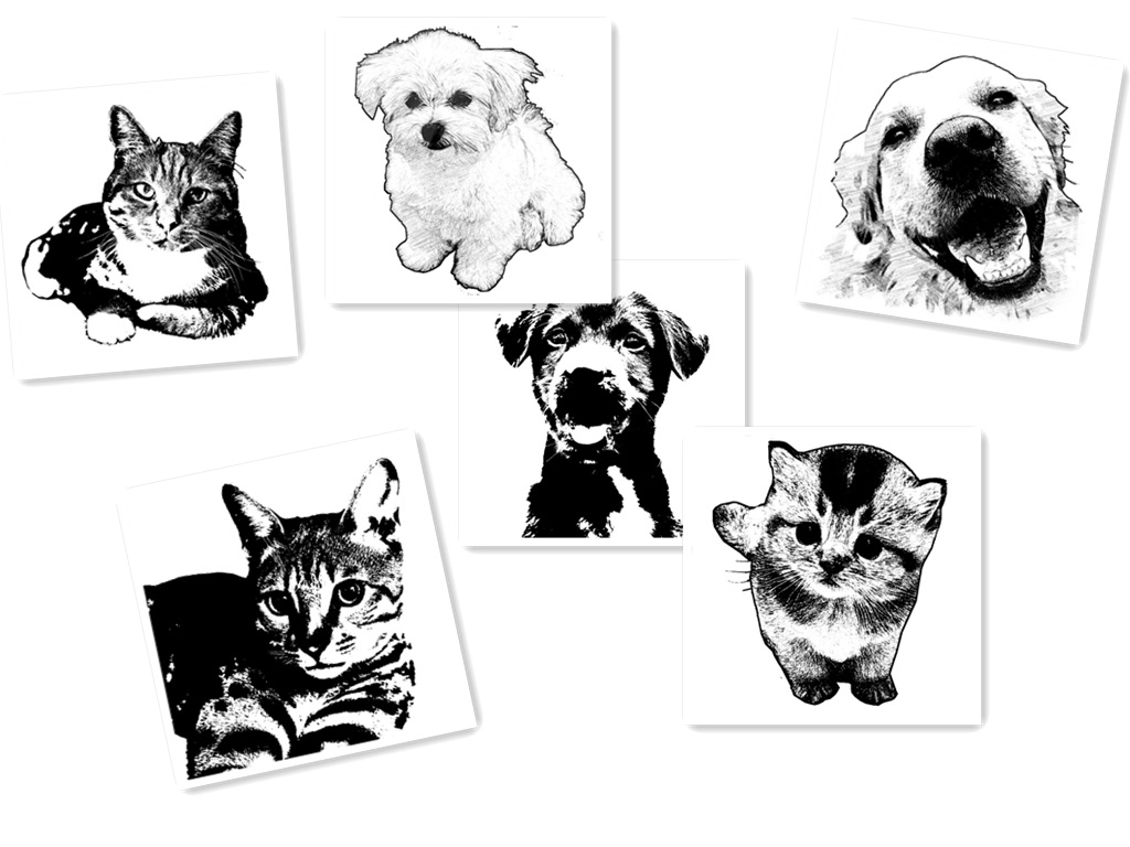 Pet Tag Example 2