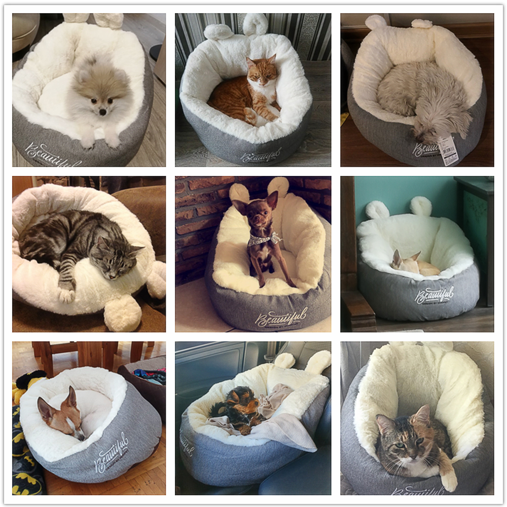 Cat Bed Image 3