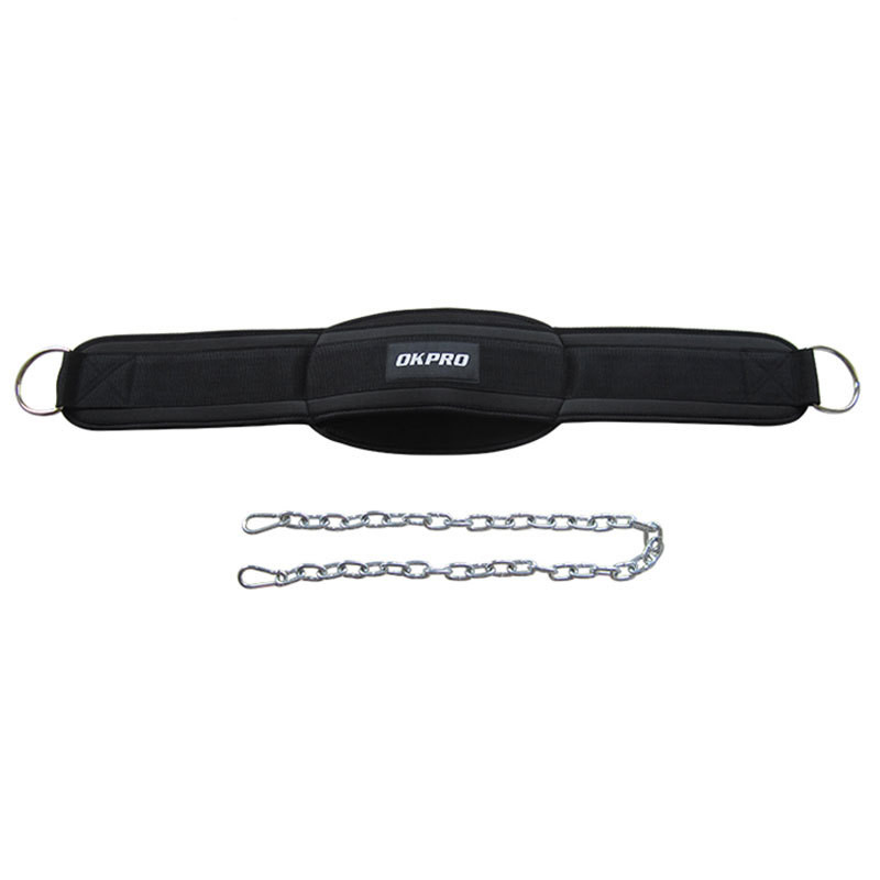 Loaded Iron Chain Belt Image 2