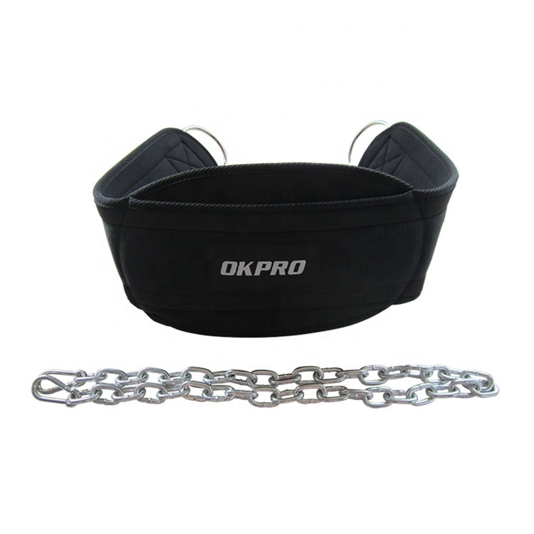 Loaded Iron Chain Belt Image 5