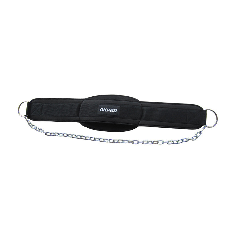 Loaded Iron Chain Belt Image 4
