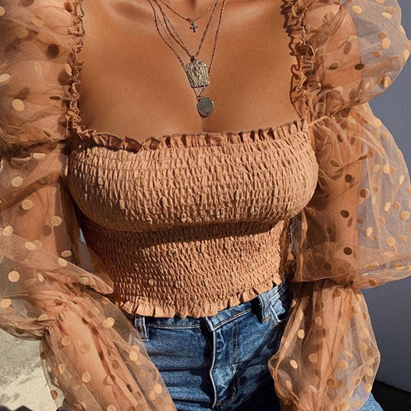 Sheer Puff Sleeve Top