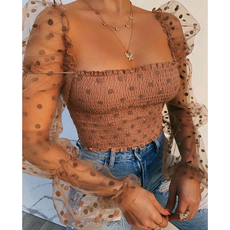 Sheer Puff Sleeve Top