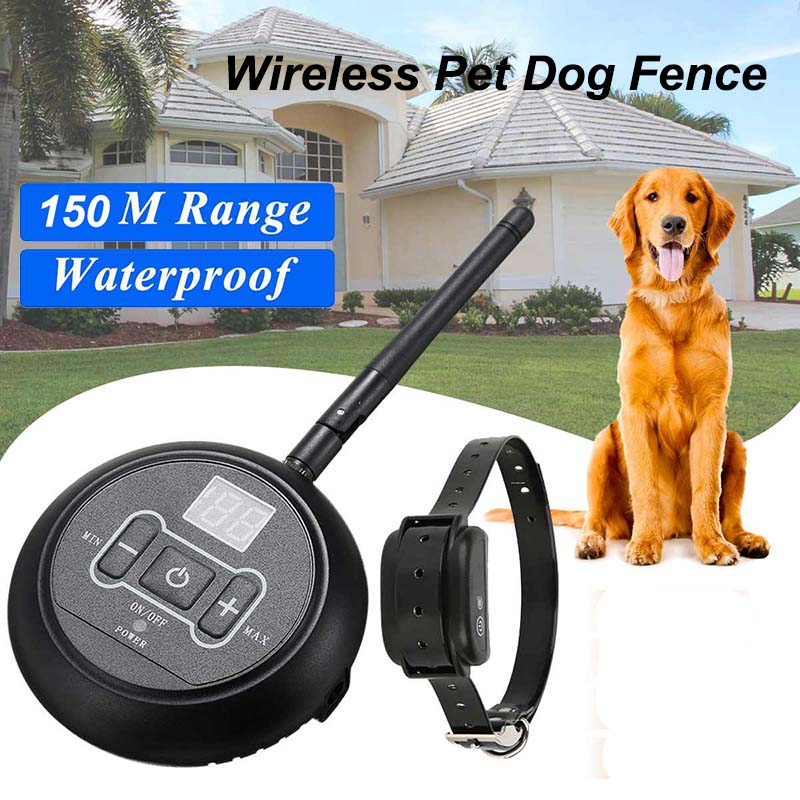 Pet Fence Image 10
