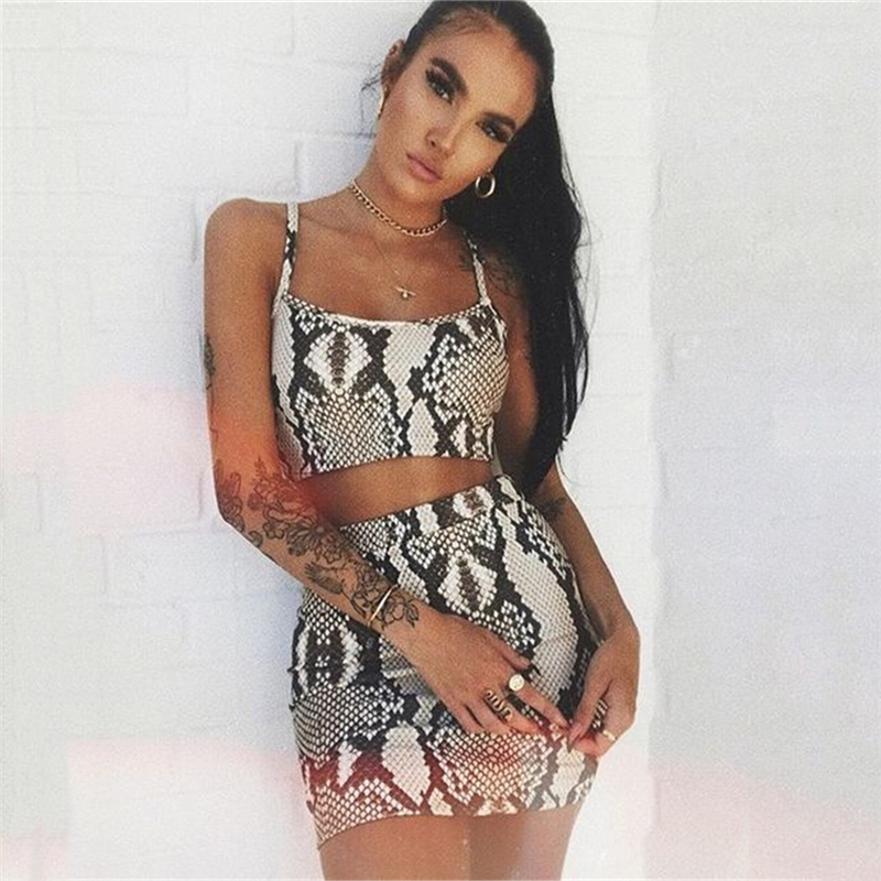 Fashion Snake Print Two-Piece Set Image 4