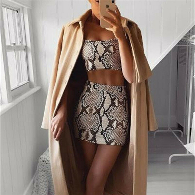 Fashion Snake Print Two-Piece Set Image 2
