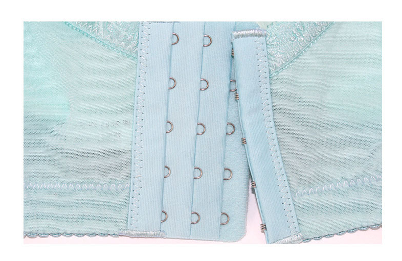 Bra Image 3