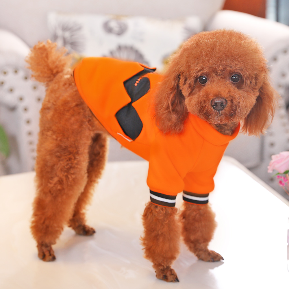 Halloween Pumpkin Hoodie 8