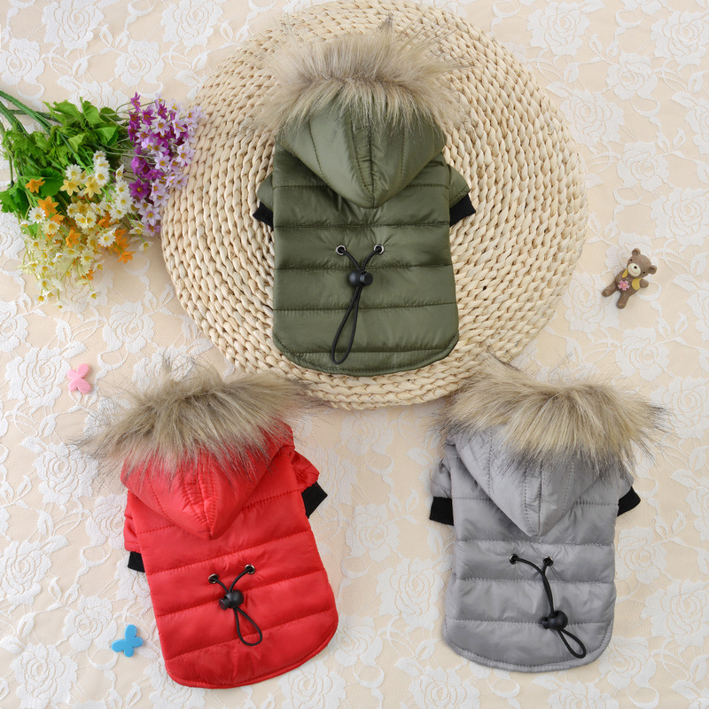 Pet Jacket Image 2