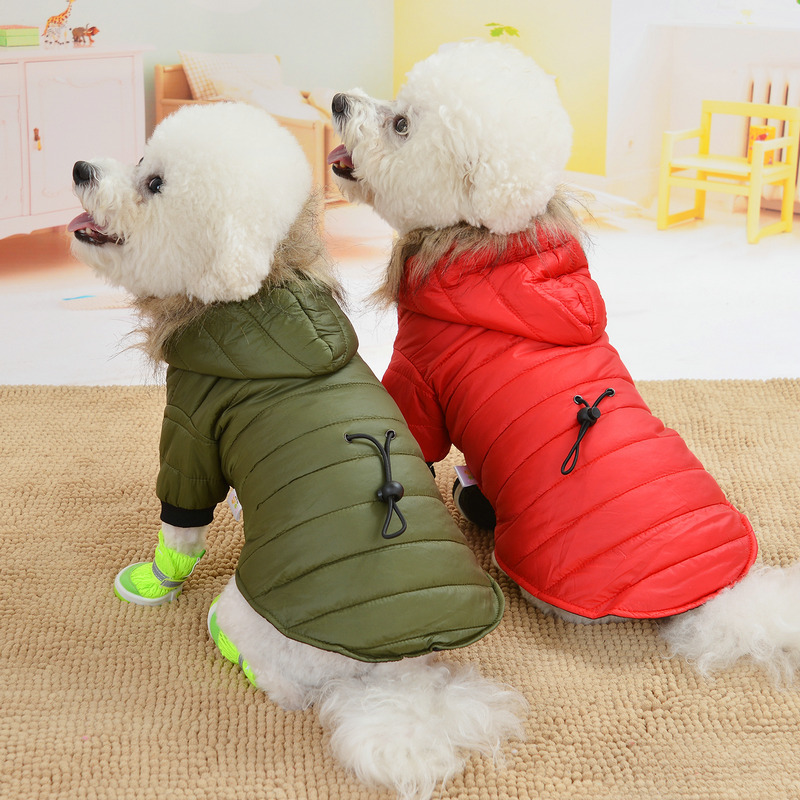 Pet Jacket Image 5
