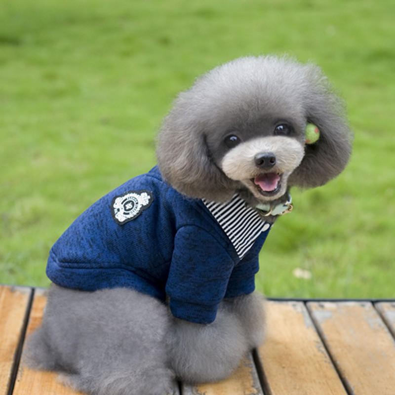 Pet Hoodie Blue